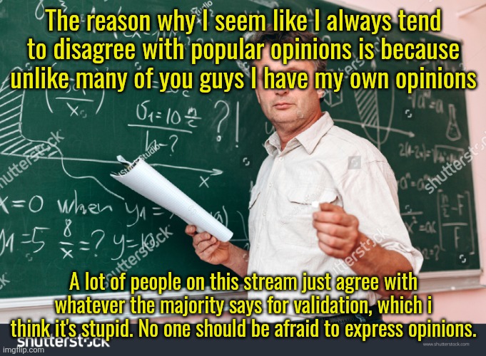 Teacher without watermark | The reason why I seem like I always tend to disagree with popular opinions is because unlike many of you guys I have my own opinions; A lot of people on this stream just agree with whatever the majority says for validation, which i think it's stupid. No one should be afraid to express opinions. | image tagged in teacher without watermark | made w/ Imgflip meme maker