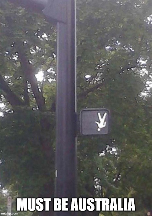 Walking | MUST BE AUSTRALIA | image tagged in you had one job | made w/ Imgflip meme maker