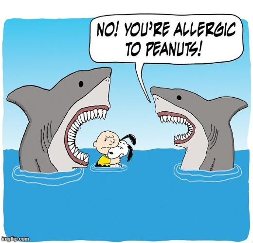 Allergic to Peanuts | image tagged in comics | made w/ Imgflip meme maker