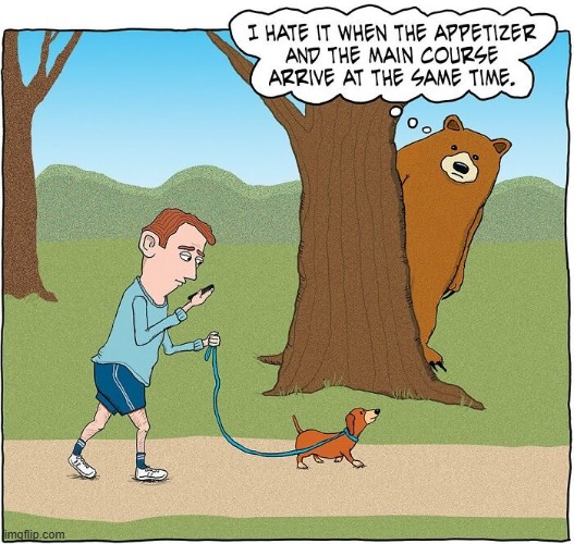 Bear Meal | image tagged in comics | made w/ Imgflip meme maker