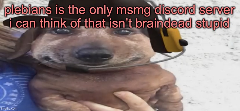chucklenuts | plebians is the only msmg discord server i can think of that isn’t braindead stupid | image tagged in chucklenuts | made w/ Imgflip meme maker
