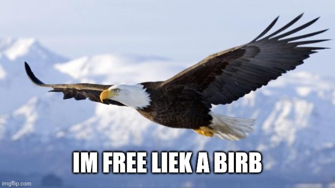 eagle | IM FREE LIEK A BIRB | image tagged in eagle | made w/ Imgflip meme maker