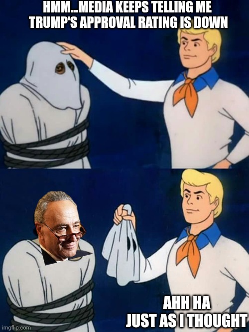 Fred calls Bull$hit | HMM...MEDIA KEEPS TELLING ME 
TRUMP'S APPROVAL RATING IS DOWN; AHH HA
JUST AS I THOUGHT | image tagged in scooby doo mask reveal,leftists,liberals,democrats,chuck schumer | made w/ Imgflip meme maker