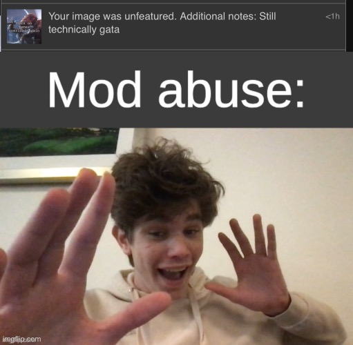 image tagged in riplos mod abuse | made w/ Imgflip meme maker