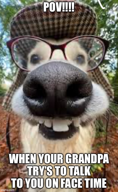 Grampa | POV!!!! WHEN YOUR GRANDPA TRY’S TO TALK TO YOU ON FACE TIME | image tagged in blind grandpa | made w/ Imgflip meme maker