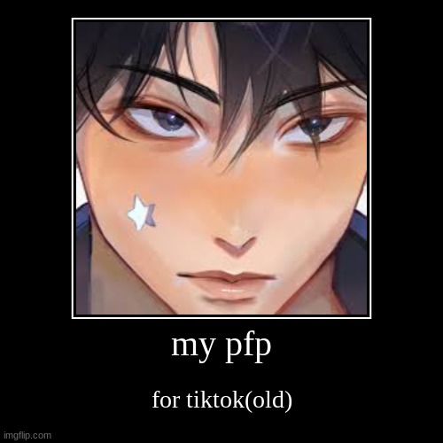 my pfp | for tiktok(old) | image tagged in funny,demotivationals | made w/ Imgflip demotivational maker