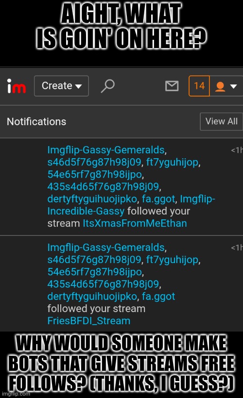 Like, what is this? | AIGHT, WHAT IS GOIN' ON HERE? WHY WOULD SOMEONE MAKE BOTS THAT GIVE STREAMS FREE FOLLOWS? (THANKS, I GUESS?) | image tagged in bots,followers | made w/ Imgflip meme maker