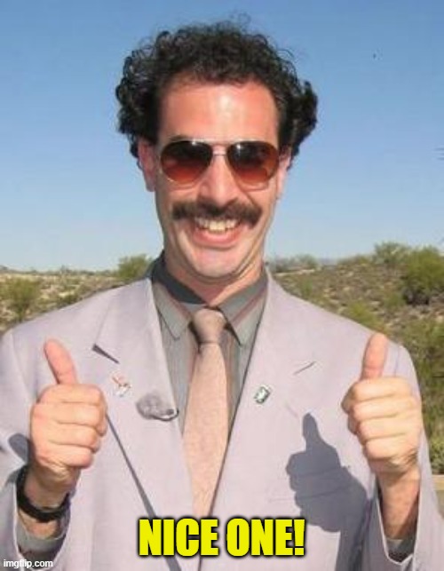 Very nice | NICE ONE! | image tagged in very nice | made w/ Imgflip meme maker