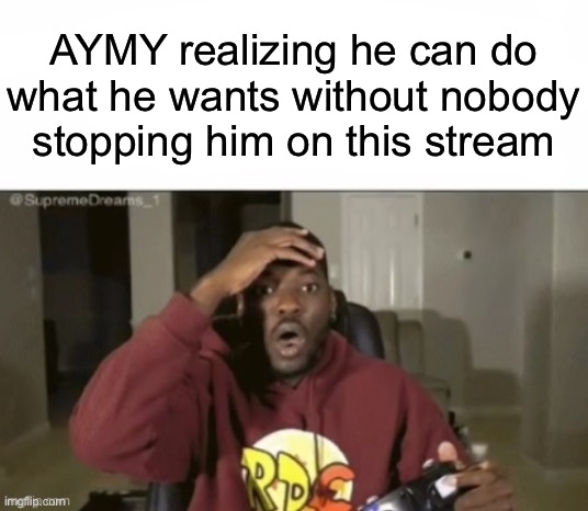 we have not | AYMY realizing he can do what he wants without nobody stopping him on this stream | image tagged in we have not | made w/ Imgflip meme maker