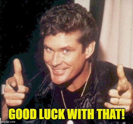 The Hoff thinks your awesome | GOOD LUCK WITH THAT! | image tagged in the hoff thinks your awesome | made w/ Imgflip meme maker