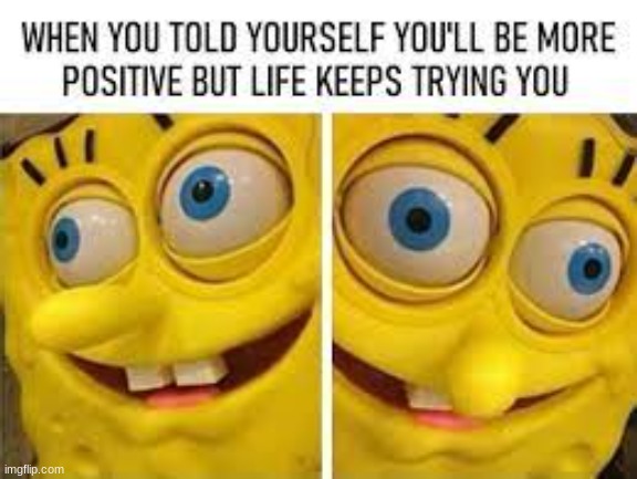 the face | image tagged in memes,funny,spongebob | made w/ Imgflip meme maker
