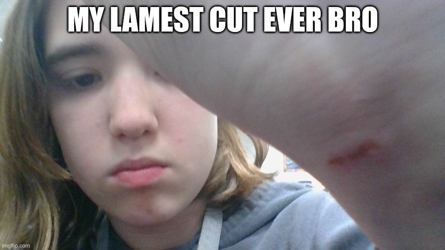 MY LAMEST CUT EVER BRO | made w/ Imgflip meme maker