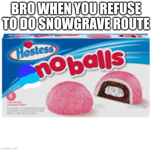 noballs | BRO WHEN YOU REFUSE TO DO SNOWGRAVE ROUTE | image tagged in noballs | made w/ Imgflip meme maker