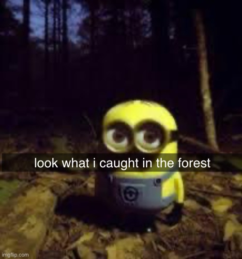 minion | look what i caught in the forest | image tagged in minions | made w/ Imgflip meme maker