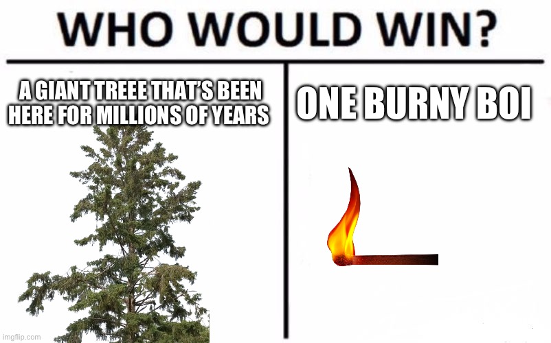 Some shitpost idk | A GIANT TREEE THAT’S BEEN HERE FOR MILLIONS OF YEARS; ONE BURNY BOI | image tagged in memes,who would win | made w/ Imgflip meme maker