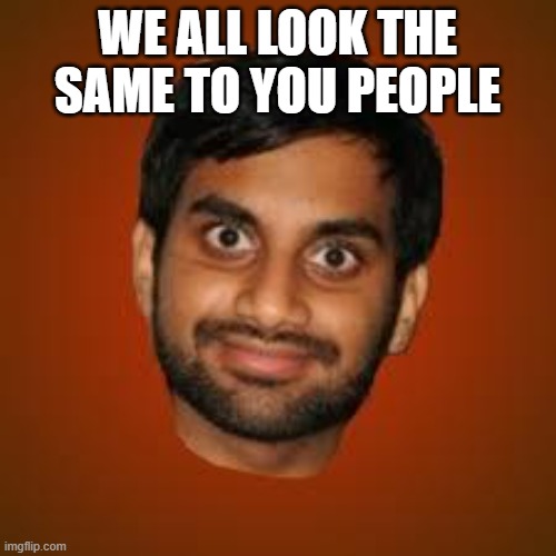 Indian guy | WE ALL LOOK THE SAME TO YOU PEOPLE | image tagged in indian guy | made w/ Imgflip meme maker