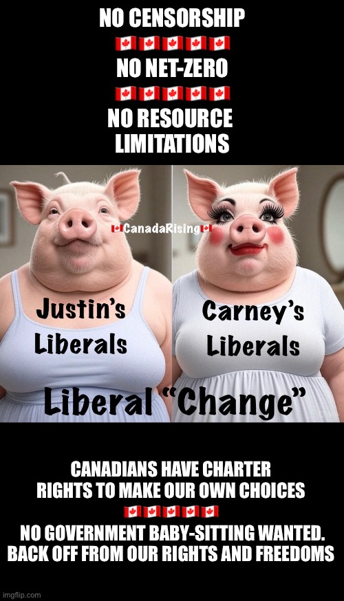 NO CENSORSHIP
🇨🇦🇨🇦🇨🇦🇨🇦🇨🇦
NO NET-ZERO
🇨🇦🇨🇦🇨🇦🇨🇦🇨🇦
NO RESOURCE 
LIMITATIONS; CANADIANS HAVE CHARTER RIGHTS TO MAKE OUR OWN CHOICES
🇨🇦🇨🇦🇨🇦🇨🇦🇨🇦
 NO GOVERNMENT BABY-SITTING WANTED.
BACK OFF FROM OUR RIGHTS AND FREEDOMS | made w/ Imgflip meme maker