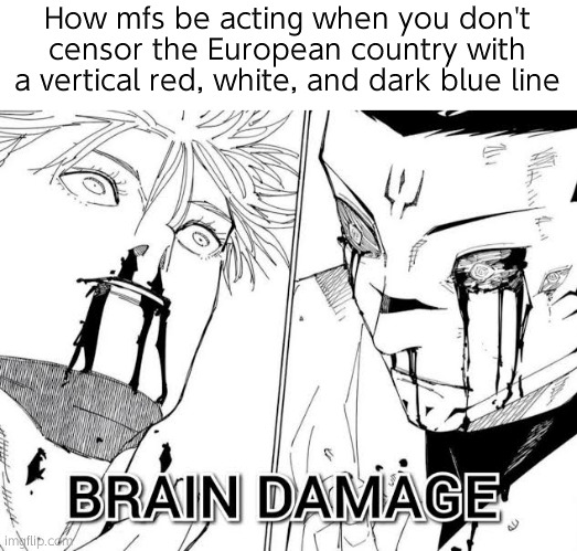Brain Damage | How mfs be acting when you don't censor the European country with a vertical red, white, and dark blue line | image tagged in brain damage | made w/ Imgflip meme maker