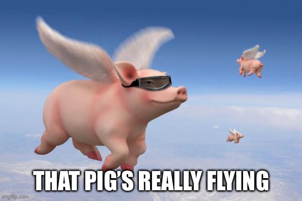 flying pigs | THAT PIG’S REALLY FLYING | image tagged in flying pigs | made w/ Imgflip meme maker