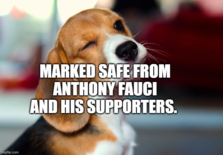 Winking Beagle | MARKED SAFE FROM ANTHONY FAUCI AND HIS SUPPORTERS. | image tagged in winking beagle | made w/ Imgflip meme maker
