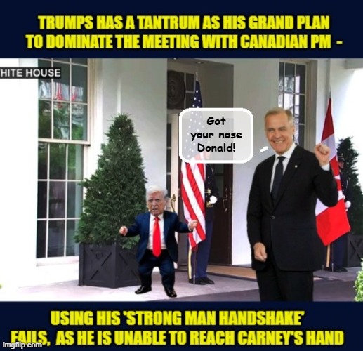 Canadian PM Mark Carney humors Tiny Man Trump... | Got your nose Donald! | image tagged in impeach trump,donald trump memes,canadians,prime minister,trump is a moron | made w/ Imgflip meme maker