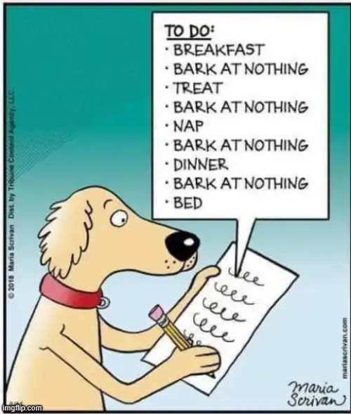 Busy schedule | image tagged in repost | made w/ Imgflip meme maker
