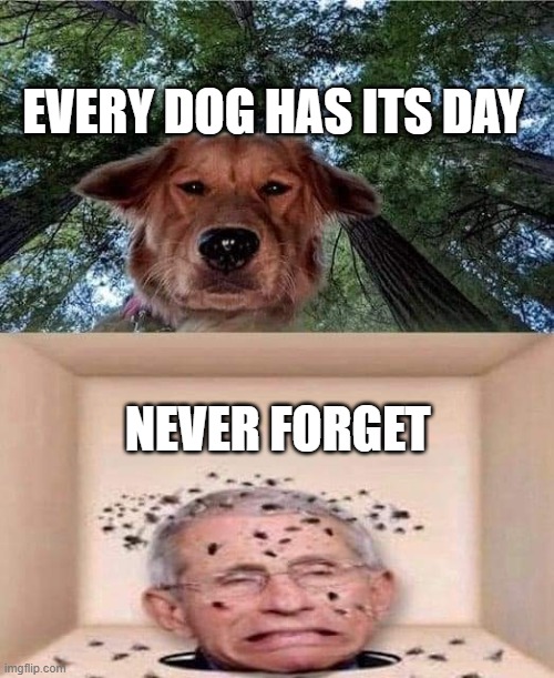 Fauci gets the Beagle treatment | EVERY DOG HAS ITS DAY; NEVER FORGET | image tagged in fauci gets the beagle treatment | made w/ Imgflip meme maker