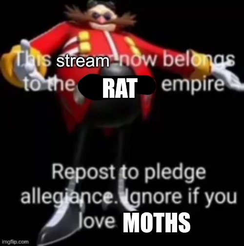 This stream now belongs to the eggman empire | RAT; MOTHS | image tagged in this stream now belongs to the eggman empire | made w/ Imgflip meme maker