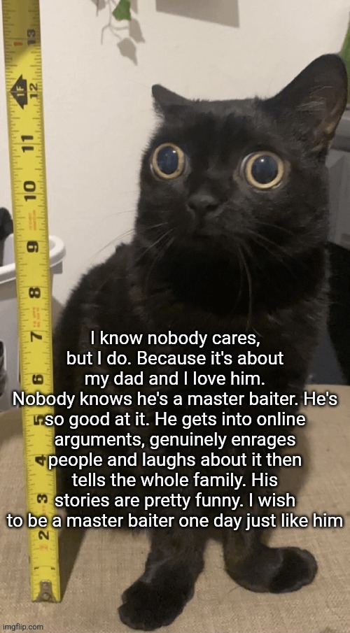 H | I know nobody cares, but I do. Because it's about my dad and I love him.
Nobody knows he's a master baiter. He's so good at it. He gets into online arguments, genuinely enrages people and laughs about it then tells the whole family. His stories are pretty funny. I wish to be a master baiter one day just like him | image tagged in h | made w/ Imgflip meme maker