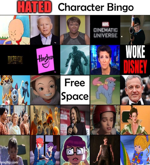 hated character bingo | image tagged in hated bingo,awful characters,bingo,hated characters,media,tv and movies | made w/ Imgflip meme maker