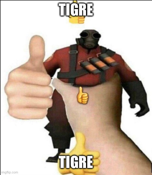 Pyro thumbs up | TIGRE TIGRE | image tagged in pyro thumbs up | made w/ Imgflip meme maker