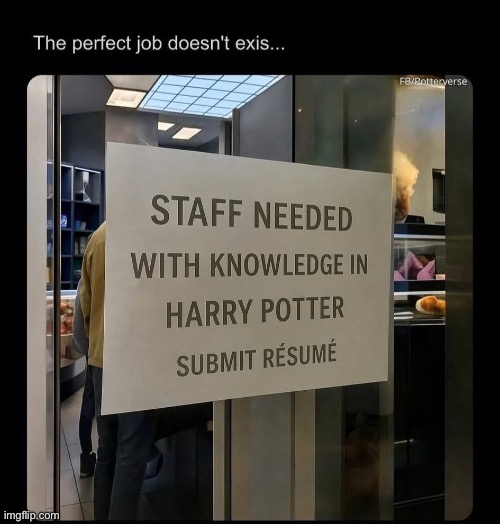 Perfect Job | image tagged in job,staff,recruiting | made w/ Imgflip meme maker