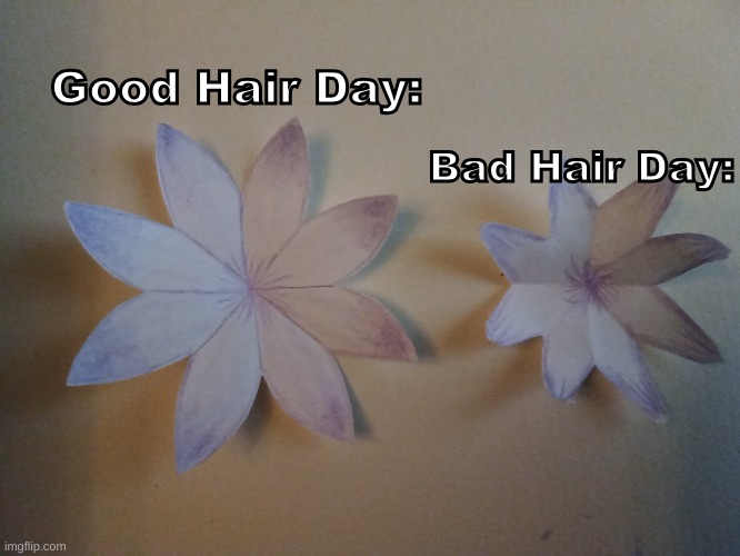 This is for a mothers day card. Which flower should I put in the card? | Bad Hair Day:; Good Hair Day: | image tagged in flowers,mothers day | made w/ Imgflip meme maker