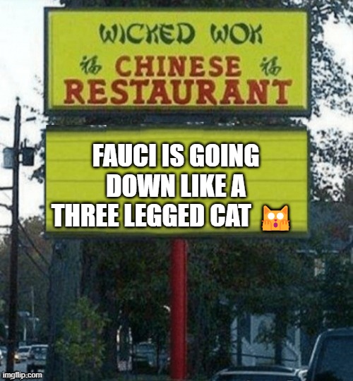 Chinese restaurant | FAUCI IS GOING DOWN LIKE A THREE LEGGED CAT 🙀 | image tagged in chinese restaurant | made w/ Imgflip meme maker