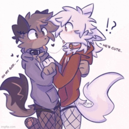 fighting fire with fire. gore of goober cat? more goober cat is posted (yes ik it isn't boykisser but whatevs) | made w/ Imgflip meme maker
