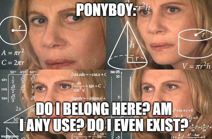 Deep thoughts | PONYBOY:; DO I BELONG HERE? AM I ANY USE? DO I EVEN EXIST? | image tagged in calculating meme | made w/ Imgflip meme maker