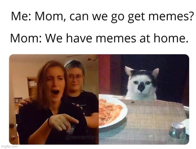Memes at home | image tagged in memes,mom can we have | made w/ Imgflip meme maker