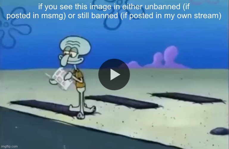 mood | if you see this image in either unbanned (if posted in msmg) or still banned (if posted in my own stream) | image tagged in mood | made w/ Imgflip meme maker