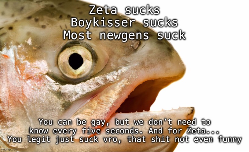 Statement salmon | Zeta sucks
Boykisser sucks
Most newgens suck; You can be gay, but we don’t need to know every five seconds. And for Zeta... You legit just suck vro, that shit not even funny | image tagged in statement salmon | made w/ Imgflip meme maker