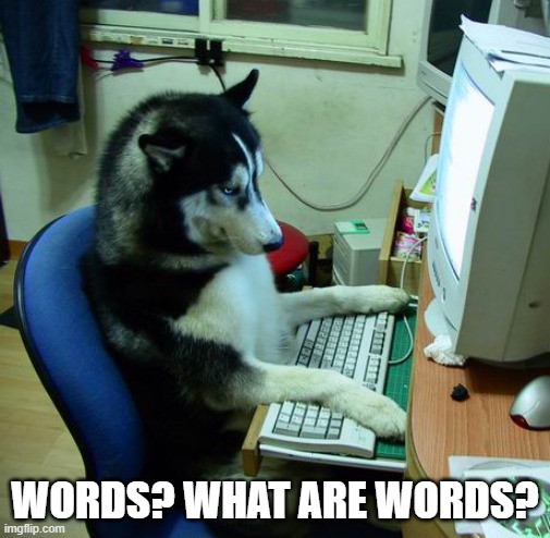 I Have No Idea What I Am Doing Meme | WORDS? WHAT ARE WORDS? | image tagged in memes,i have no idea what i am doing | made w/ Imgflip meme maker