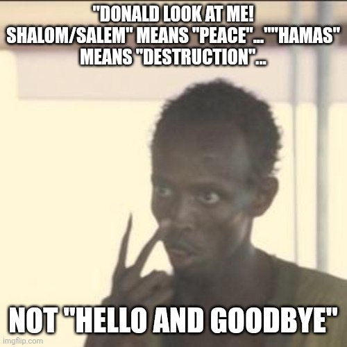 Look At Me | "DONALD LOOK AT ME! SHALOM/SALEM" MEANS "PEACE"...""HAMAS" MEANS "DESTRUCTION"... NOT "HELLO AND GOODBYE" | image tagged in memes,look at me,donald trump,tweet | made w/ Imgflip meme maker