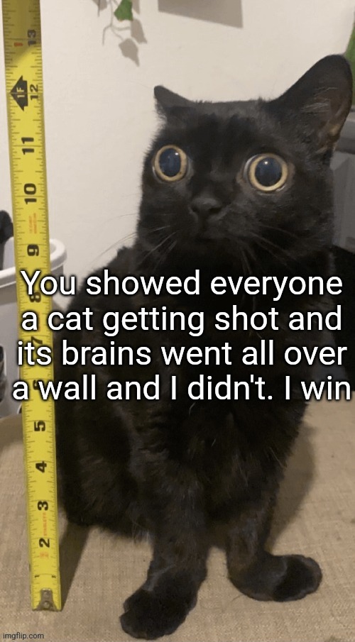 H | You showed everyone a cat getting shot and its brains went all over a wall and I didn't. I win | image tagged in h | made w/ Imgflip meme maker