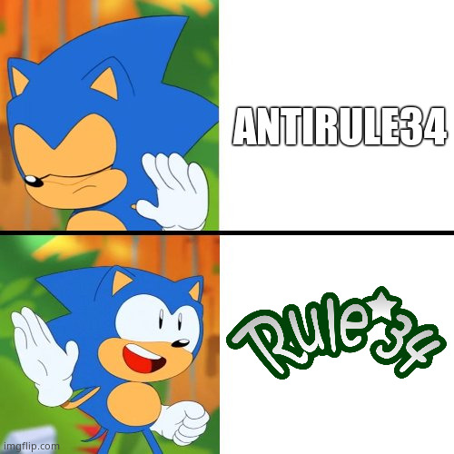 Sonic hates AntiRule34 Like Rule 34 | ANTIRULE34 | image tagged in sonic mania,drake hotline bling,sonic the hedgehog,rule 34 | made w/ Imgflip meme maker