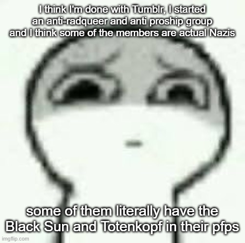 (Ada: to anyone who wants to try it it is kind of vile if you interact with the wrong posts, and it festers with extremism.) | I think I'm done with Tumblr, I started an anti-radqueer and anti proship group and I think some of the members are actual Nazis; some of them literally have the Black Sun and Totenkopf in their pfps | image tagged in eughrm | made w/ Imgflip meme maker