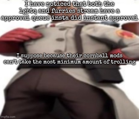 Ze medic | I have noticed that both the lgbtq and furries stream have a approval queue insta did instant approval; I suppose because their cornball mods can’t take the most minimum amount of trolling | image tagged in ze medic | made w/ Imgflip meme maker