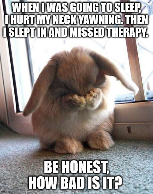 Day in life of embarrased bunny | WHEN I WAS GOING TO SLEEP, I HURT MY NECK YAWNING. THEN I SLEPT IN AND MISSED THERAPY. BE HONEST, HOW BAD IS IT? | image tagged in embarrassed bunny | made w/ Imgflip meme maker