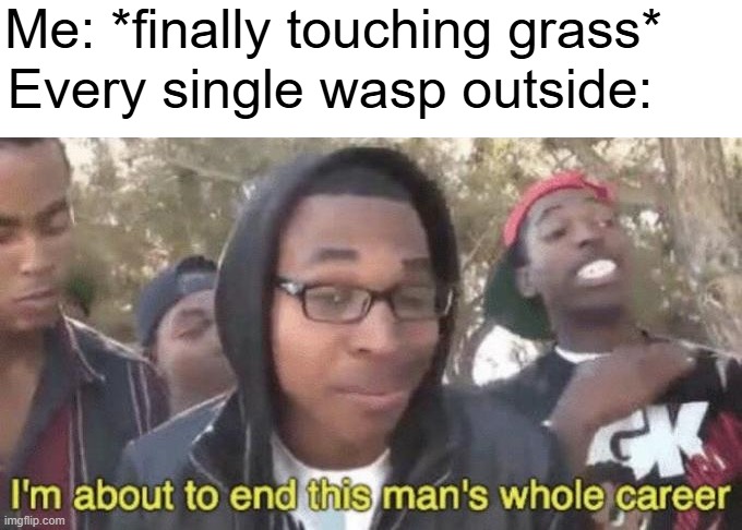 wasps threaten you with their very presence | Me: *finally touching grass*; Every single wasp outside: | image tagged in i m about to end this man s whole career,wasp,touch grass | made w/ Imgflip meme maker