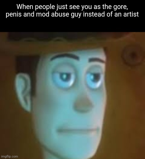 disappointed woody | When people just see you as the gore, penis and mod abuse guy instead of an artist | image tagged in disappointed woody | made w/ Imgflip meme maker