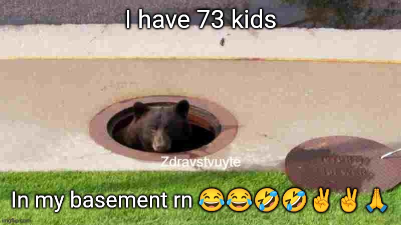 Fr fr | I have 73 kids; In my basement rn 😂😂🤣🤣✌✌🙏 | image tagged in bear in sewer | made w/ Imgflip meme maker
