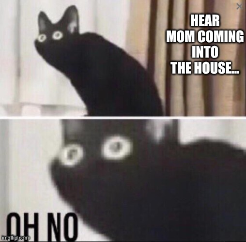 mr.meow meow | HEAR MOM COMING INTO THE HOUSE... | image tagged in mr meow meow | made w/ Imgflip meme maker
